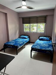 Blk 452A Fernvale Foliage (Sengkang), HDB 5 Rooms #561898181